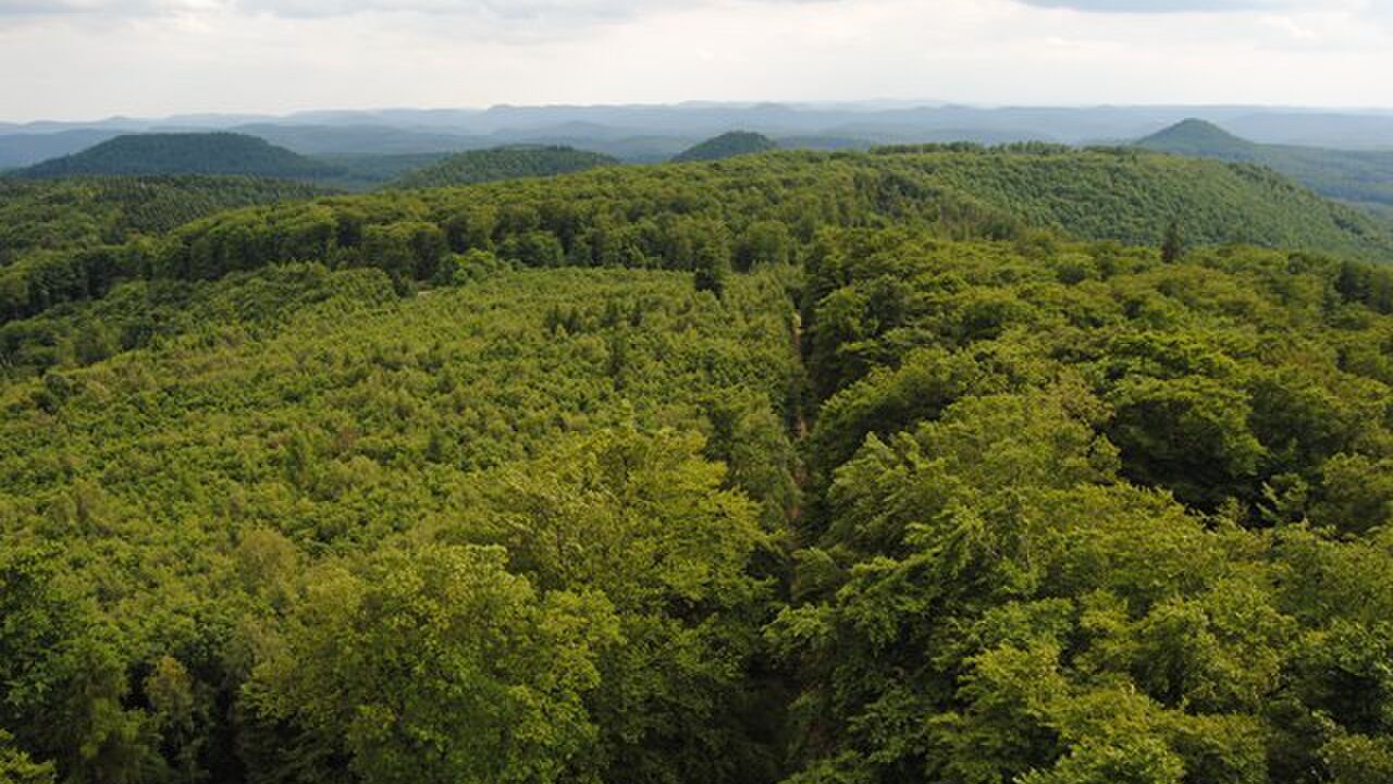 Pfälzerwald und Nordvogesen – ein grenzüberschreitendes Biosphärenreservat