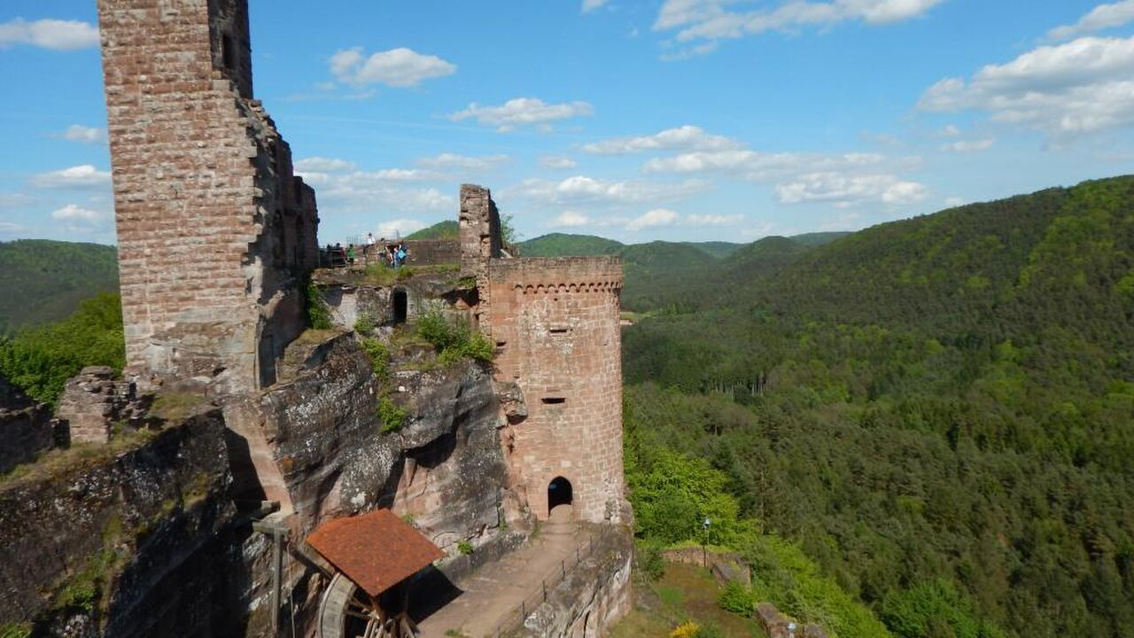 Pfälzerwald und Nordvogesen – ein grenzüberschreitendes Biosphärenreservat