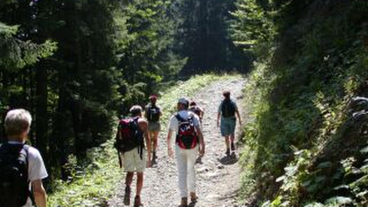 Oberstdorf - Naturschutz in einer wertvollen und touristisch genutzten Hochgebirgslandschaft