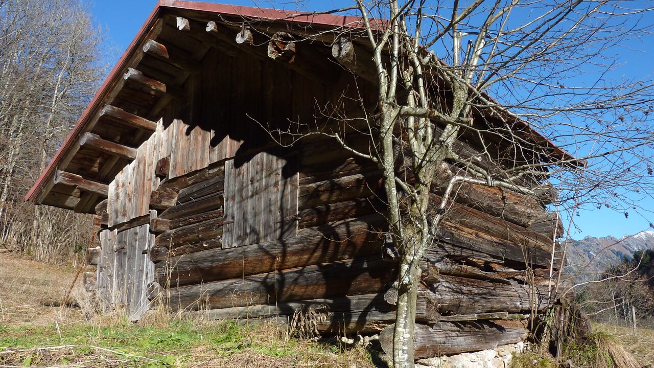 Oberstdorf - Naturschutz in einer wertvollen und touristisch genutzten Hochgebirgslandschaft