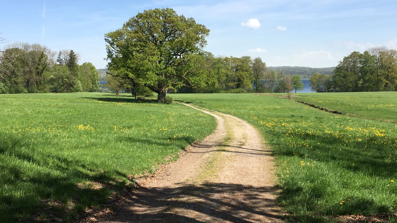 Im Herbst des Berufslebens - Perspektive 60 - Den Berufsalltag mit Flexibilität, Motivation und Gelassenheit gestalten