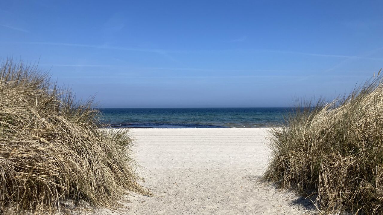 Ressourcen mobilisieren und Potentiale entwickeln mit Iyengar-Yoga