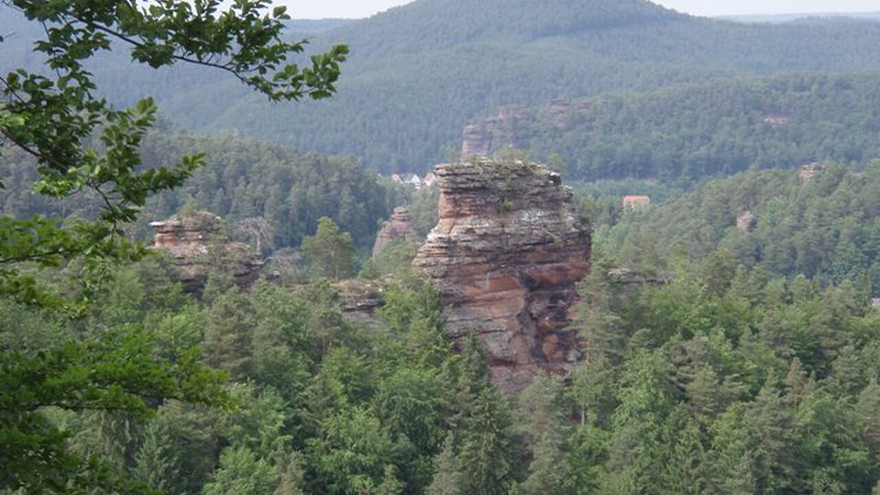 Pfälzerwald und Nordvogesen – ein grenzüberschreitendes Biosphärenreservat