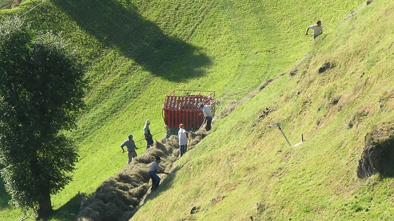 Vinschgau und Nationalpark Stilfserjoch – Chancen und Bedrohung einer faszinierenden Natur- und Kulturlandschaft