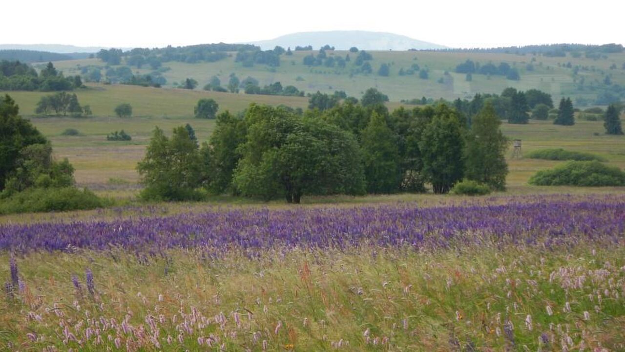 Weiterbildung Tourenleiter*in für Natur und Landschaft
