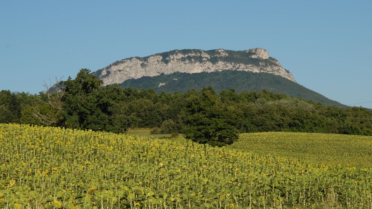 Französische Woche in Frankreich für alle außer Anfänger