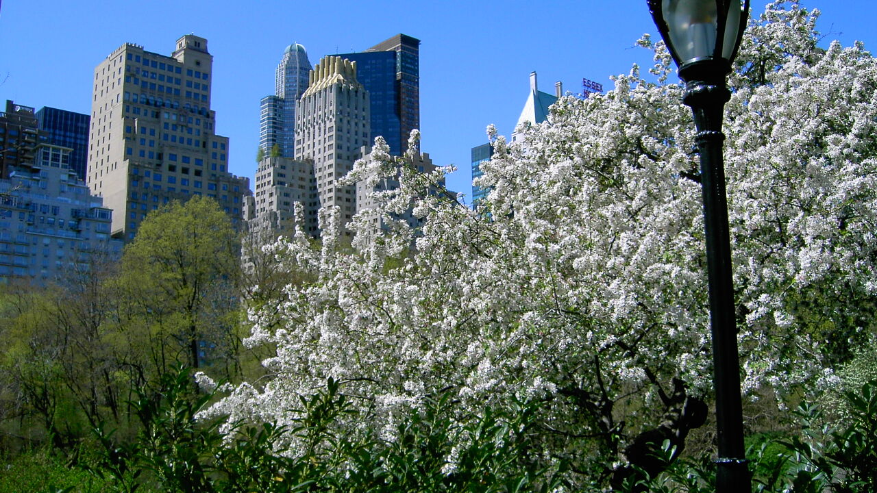 New York City: Beispiel für eine gelungene Einwanderungspolitik?