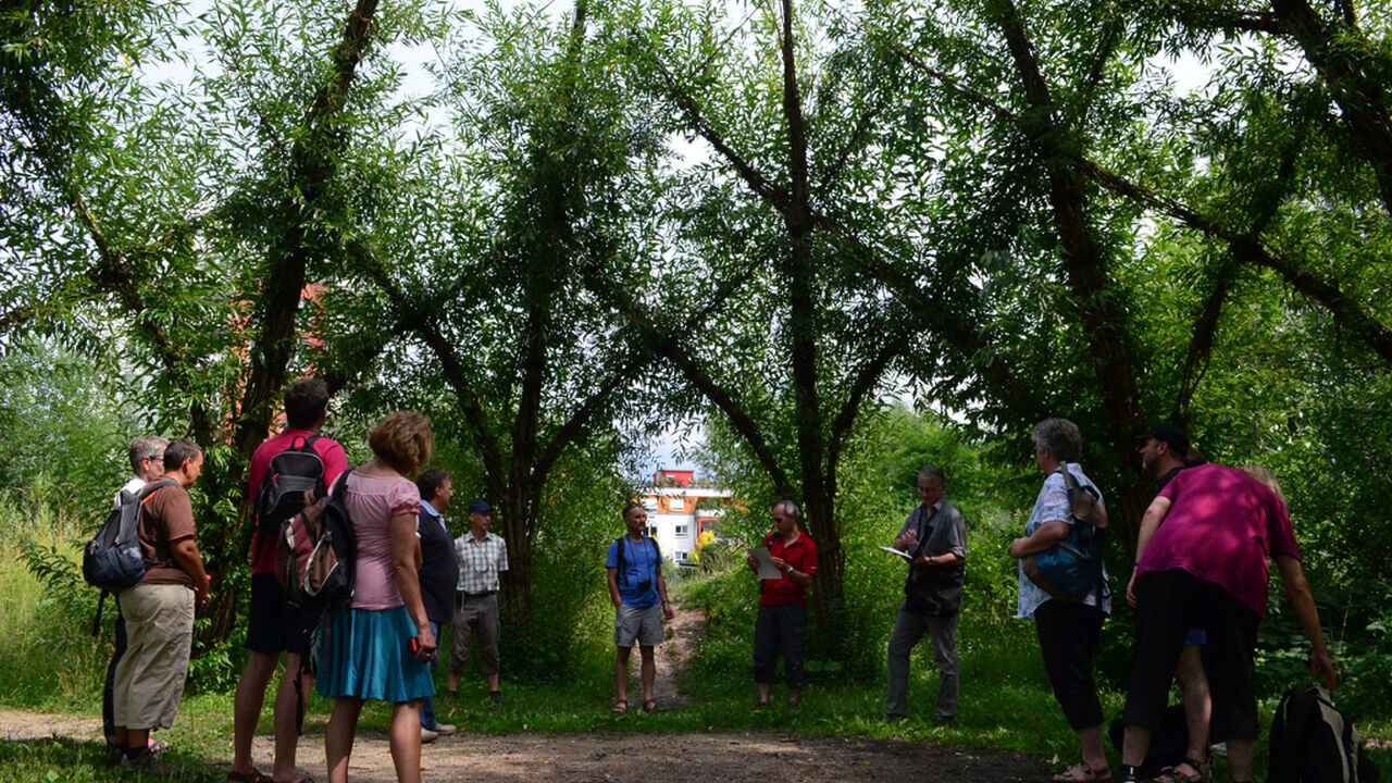 Freiburg - Deutschlands grüner Süden