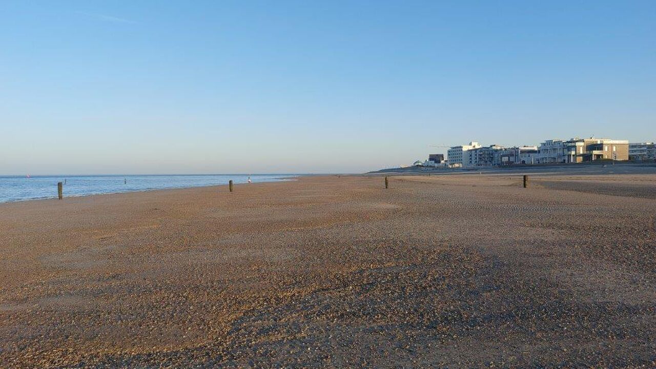 Norderney: Eine ostfriesische Insel zwischen Naturschutz und menschlicher Nutzung