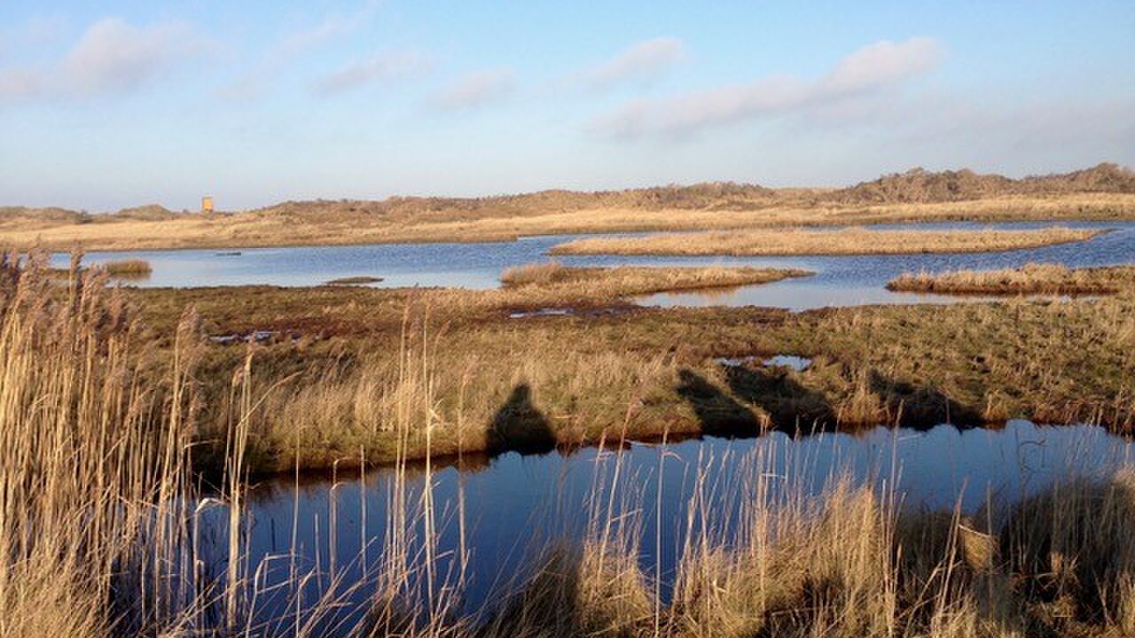 Führungskompetenz, Menschenkenntnis und Konfliktfähigkeit