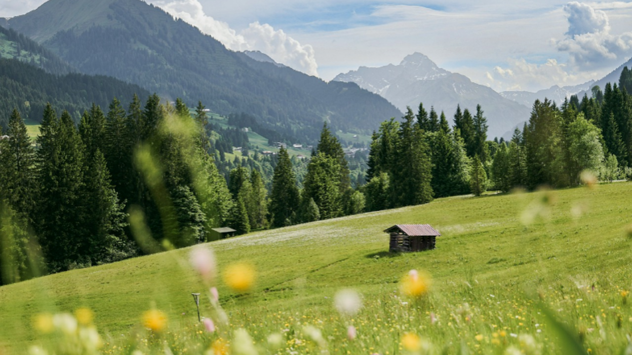 Nachhaltigkeit im Allgäu – Was erfolgreiche Projekte gemeinsam haben