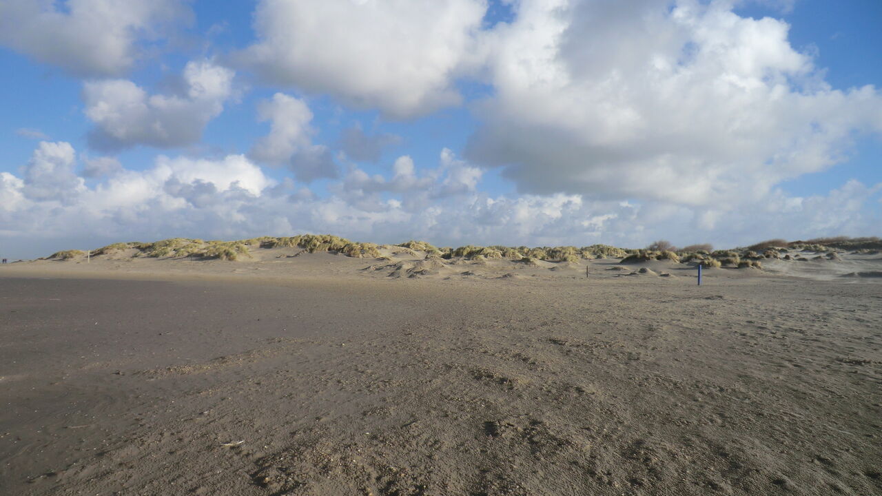 Stressbalance durch die Ausrichtung nach dem inneren Kompass