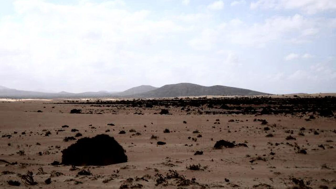 Fuerteventura - Modellregion für Nachhaltigkeit?