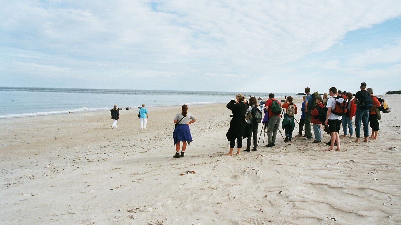 Helgoland - Chancen und Probleme einer Naturinsel
