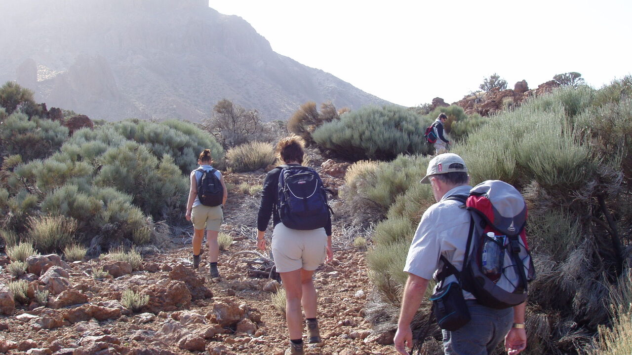 La Gomera - Perspektiven einer Insel am Rande Europas