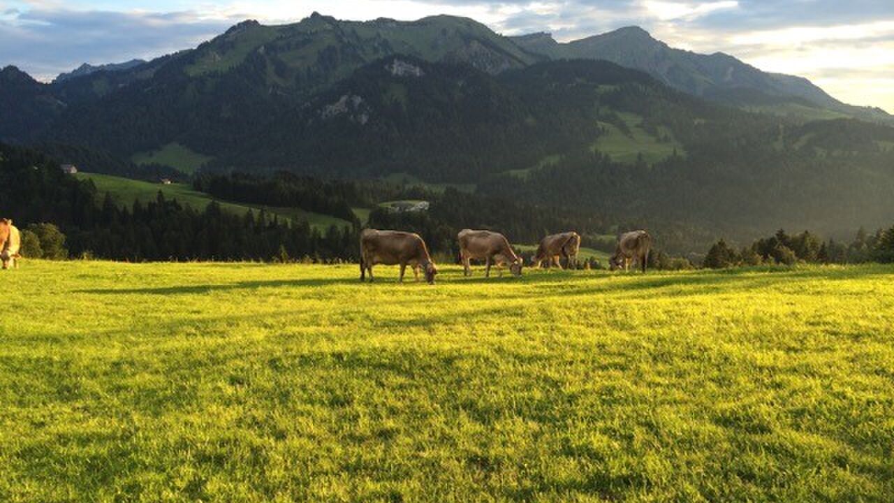 Klimaanpassungsregion Bregenzerwald – enkeltaugliche Strategien in den Alpen