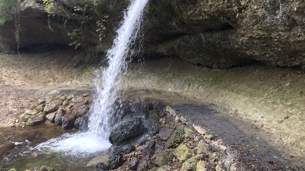 „Wildes Westallgäu“ und östliche Bodensee-Region: einzigartige Natur- und Kulturlandschaften „unter Druck“