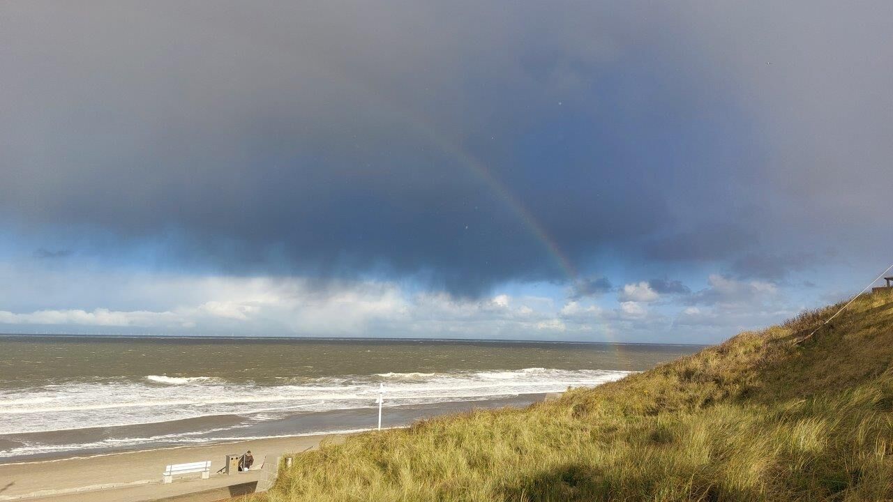 Norderney: Eine ostfriesische Insel zwischen Naturschutz und menschlicher Nutzung
