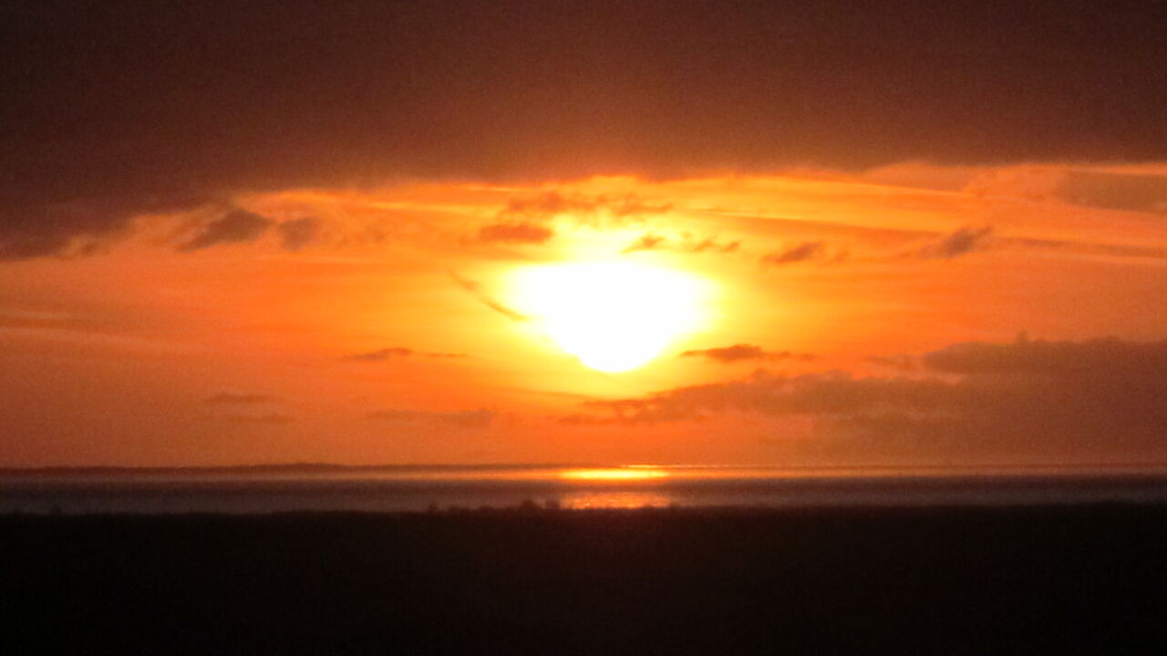 Entfalten Sie Ihre Potenziale mit Hilfe der Positiven Psychologie