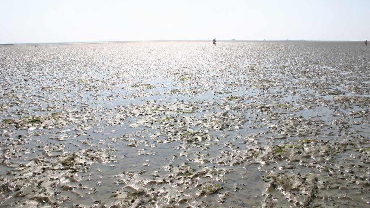 Intuition oder Intellekt? Wie treffe ich meine Entscheidungen?