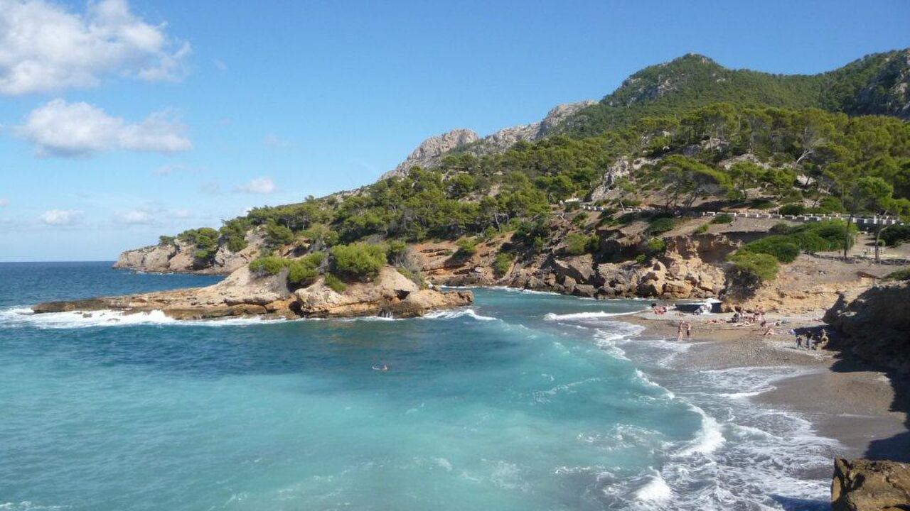 Trauminsel Mallorca?! – Die 