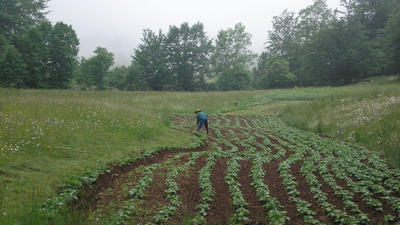 Nationalpark Velebit in Nordkroatien - Chancen und Risiken für eine nachhaltige Regionalentwicklung