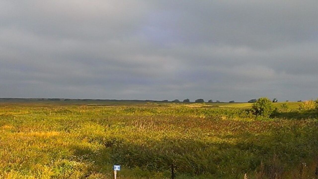 Konstruktiver Umgang mit Emotionen am Arbeitsplatz