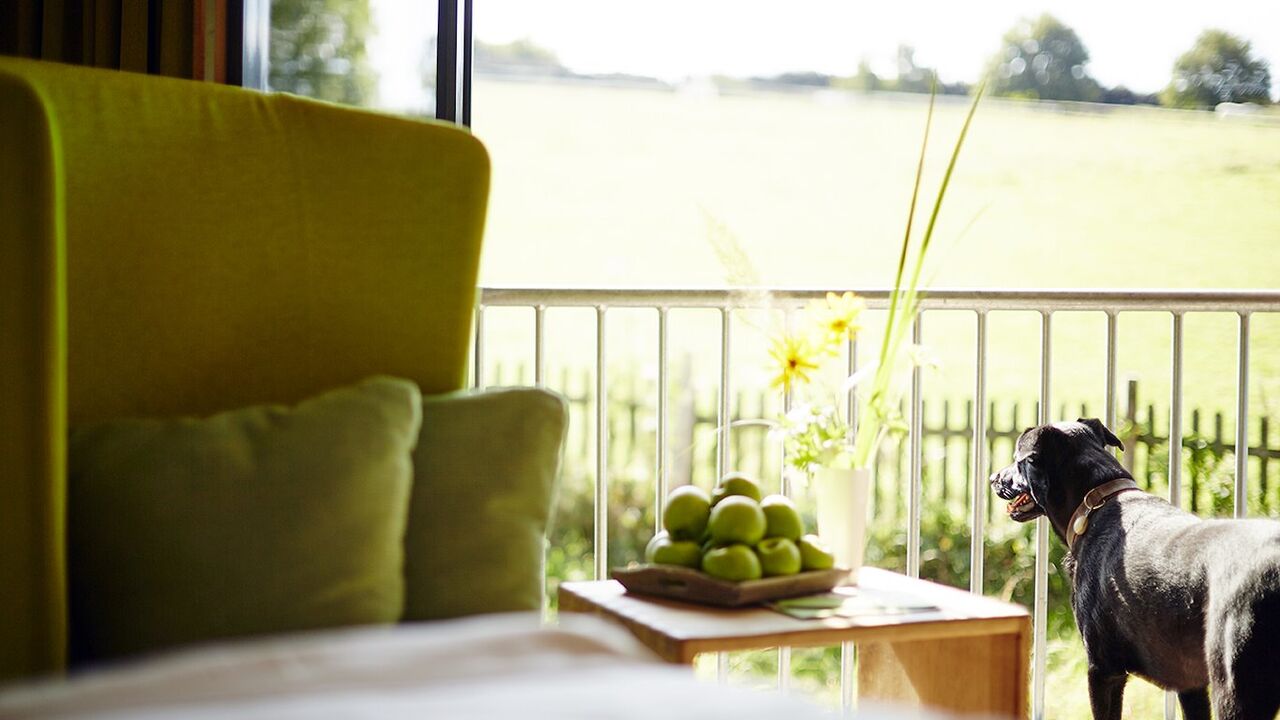 Besser schlafen, gelassener leben - Ein Intensiv-Seminar für erholsamen Schlaf und mehr Energie