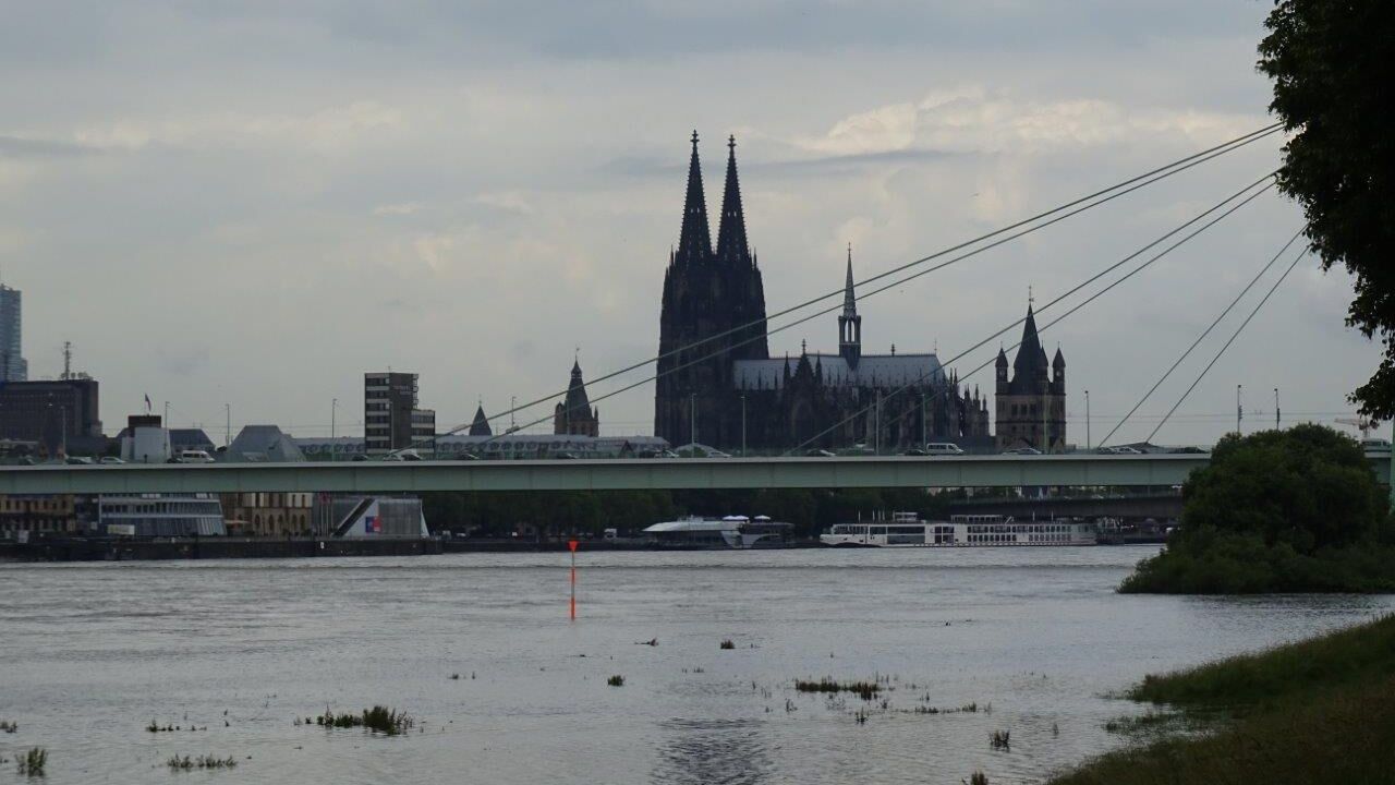 Natur- und Umweltschutz in einer Großstadt: Köln