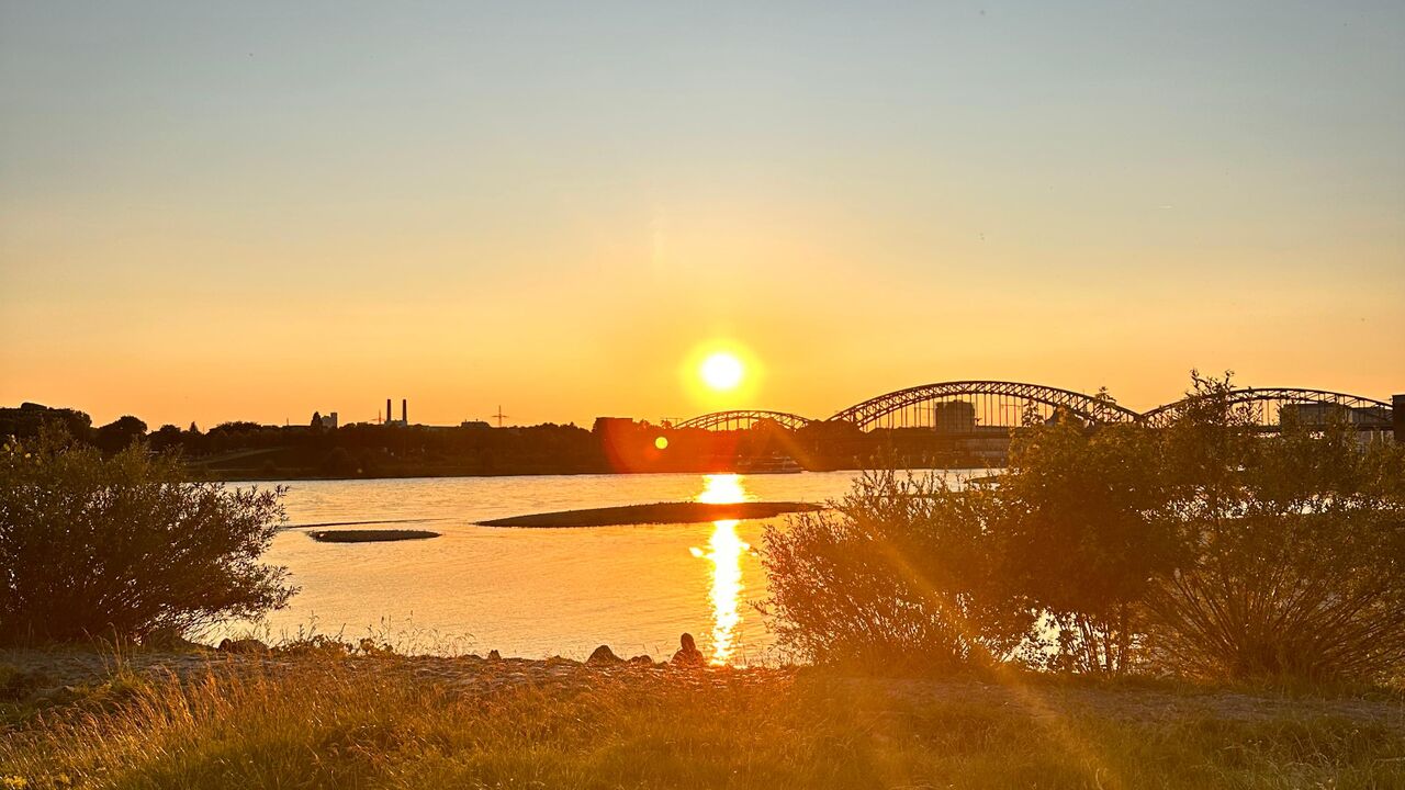 Köln zwischen Großstadt, Naturschutz und Nachhaltigkeit