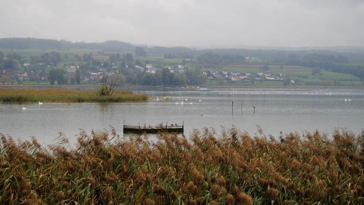 Der Bodensee – Modellregion für nachhaltige Entwicklung