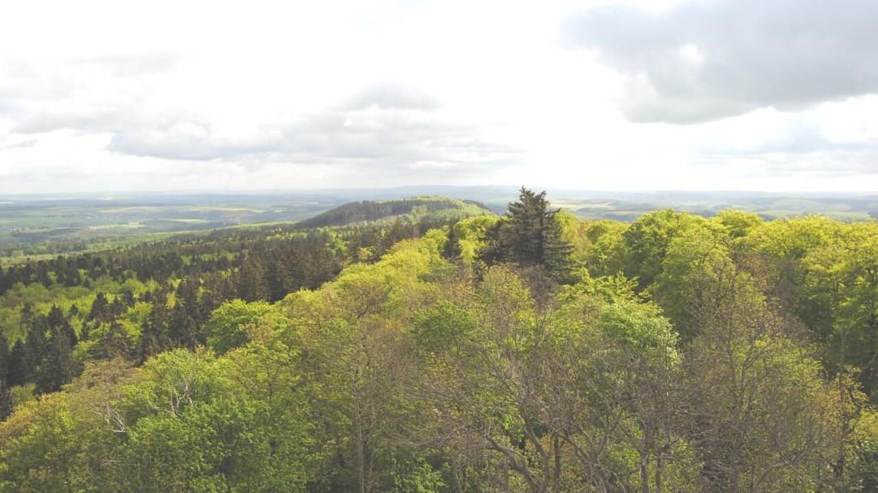 Nationalpark Hunsrück-Hochwald - ein länderübergreifendes Großschutzgebiet