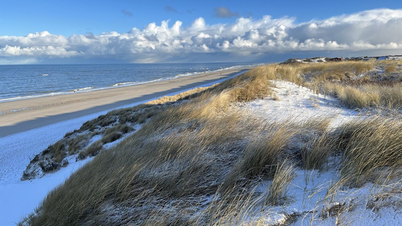 Mit Veränderung umgehen - Resilienzförderung durch Iyengar-Yoga®