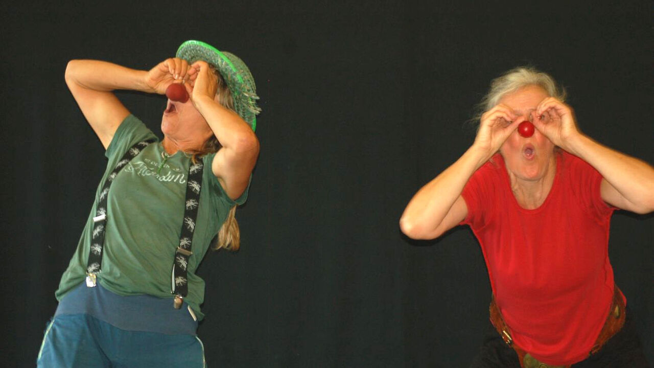 Der Clown als Spieler, Heiler und Lebenslehrer - Jahresgruppe