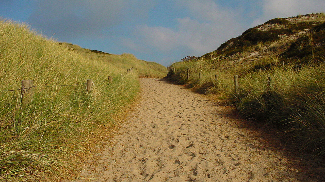Sylt - eine Insel inmitten des Nationalparks!