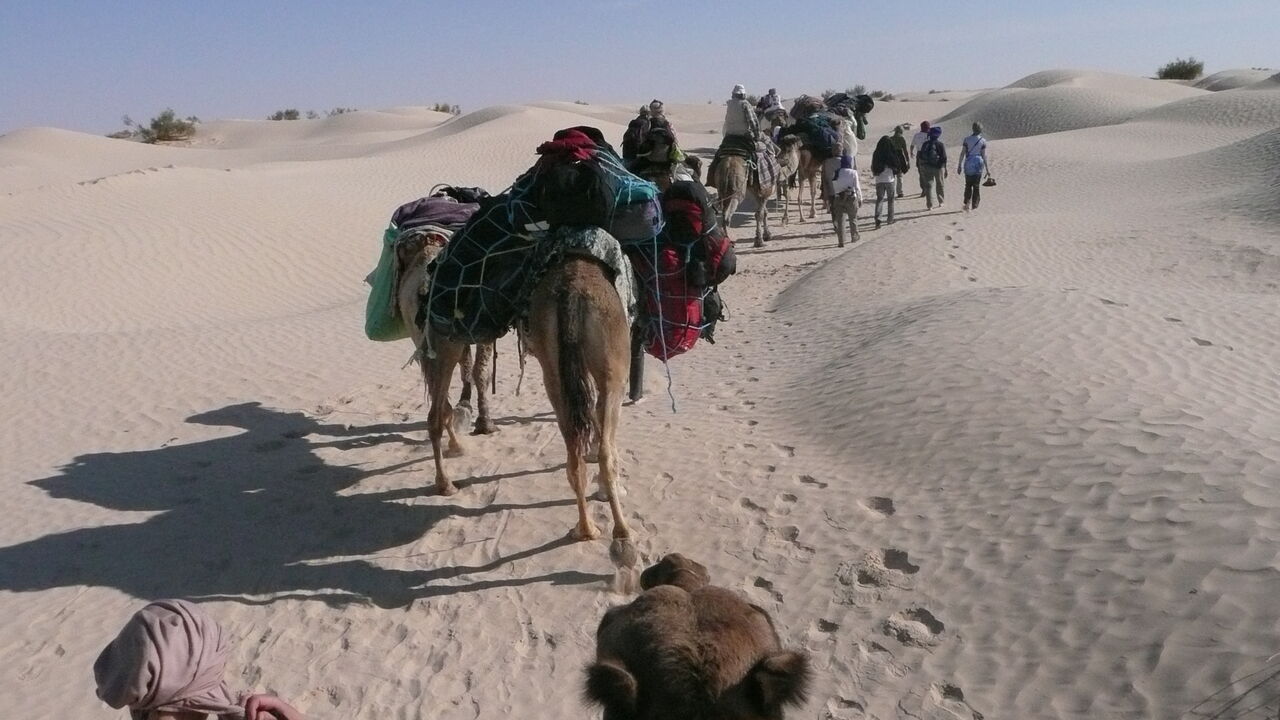 Die Stille erleben - Wüstenretreat mit Kameltrekking in Tunesien mit drei Schweigetagen