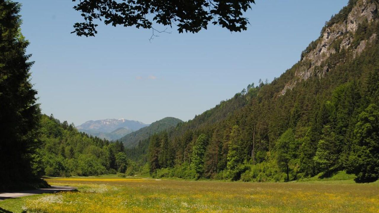 Nationalpark Kalkalpen - Modellregion für nachhaltige Entwicklung