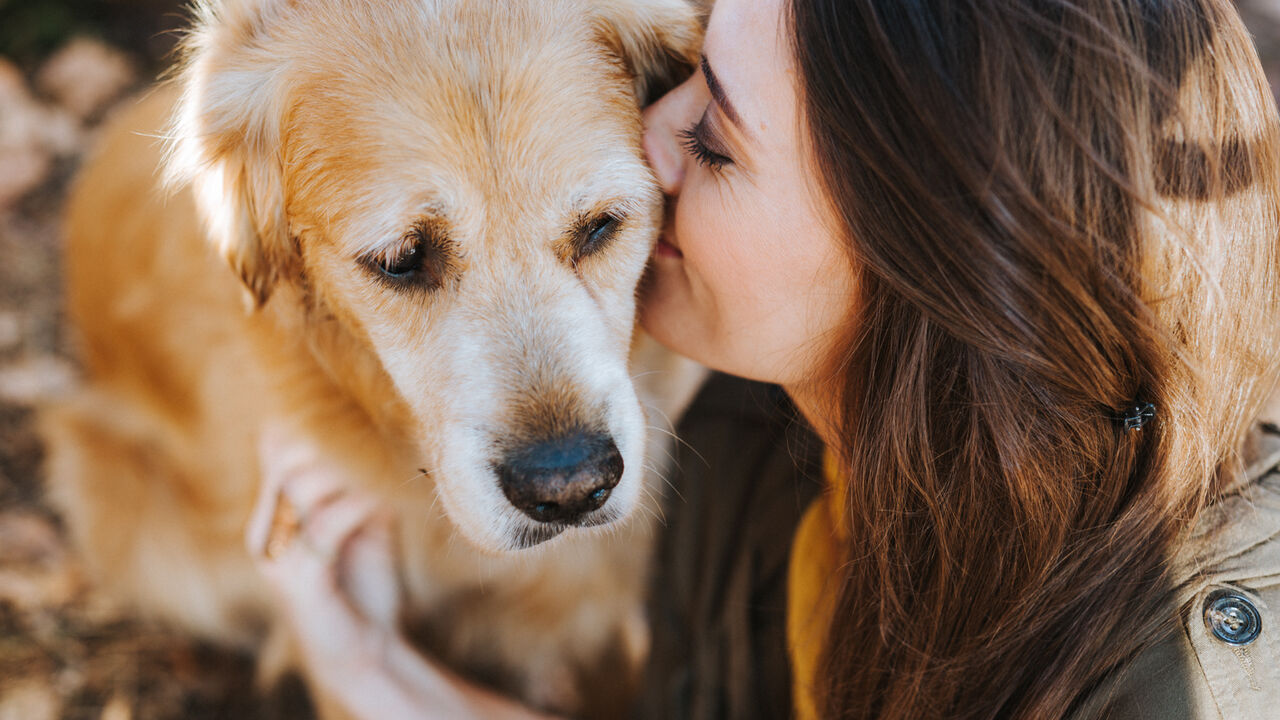 Work-Life-Balance durch Yoga, Pilates und Entspannungstechniken, Bildungsurlaub mit Hund