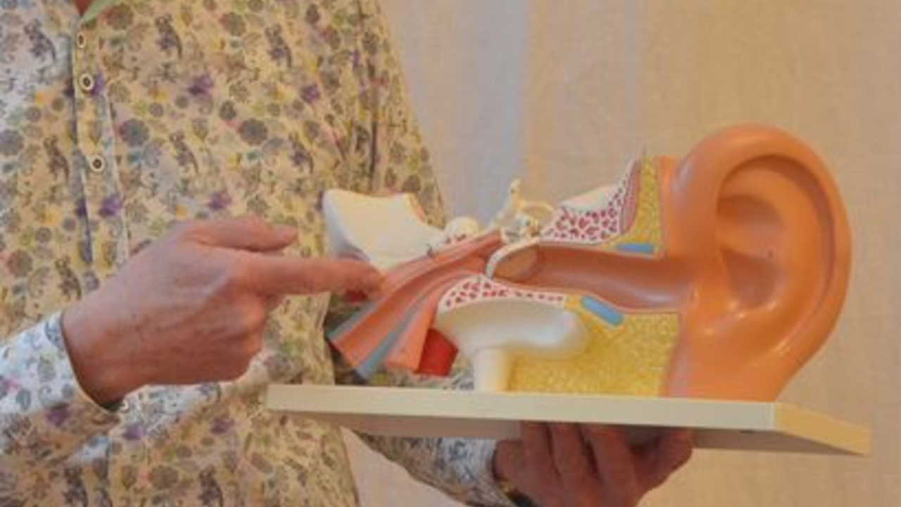 Stimme im Beruf – Lichtenberger® Methode