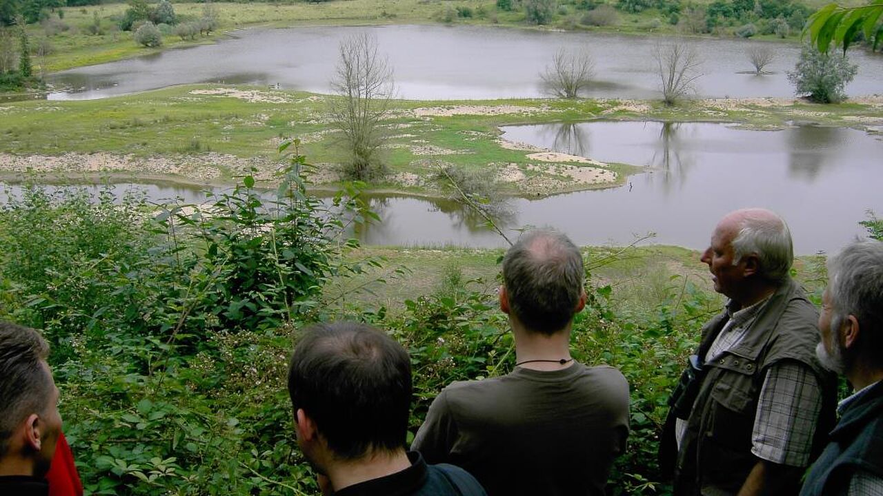Natur- und Umweltschutz in einer Großstadt: Köln