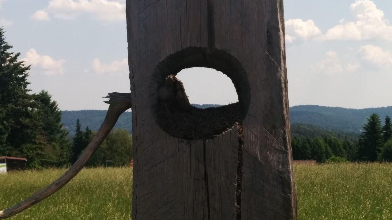 Ruhestand – Entdecke Deine Möglichkeiten