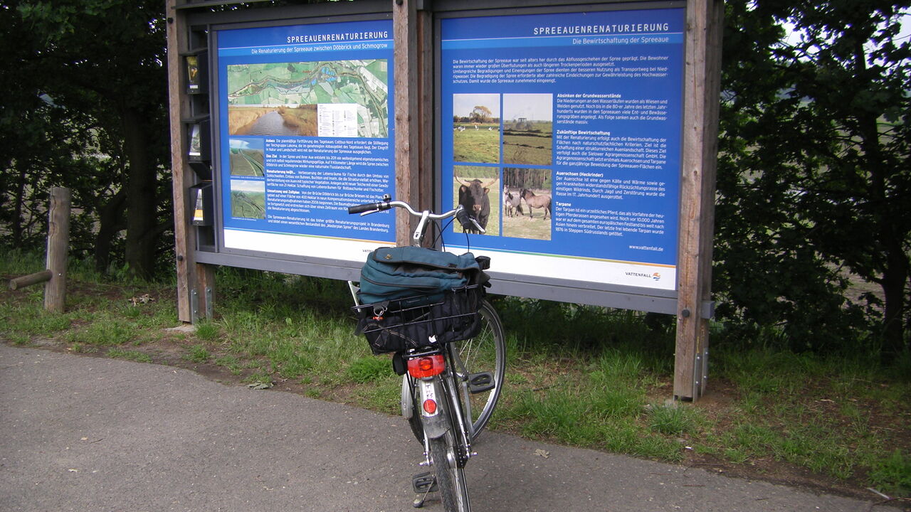 Der Spreewald - eine einzigartige Kulturlandschaft - als Biosphärenreservat geschützt