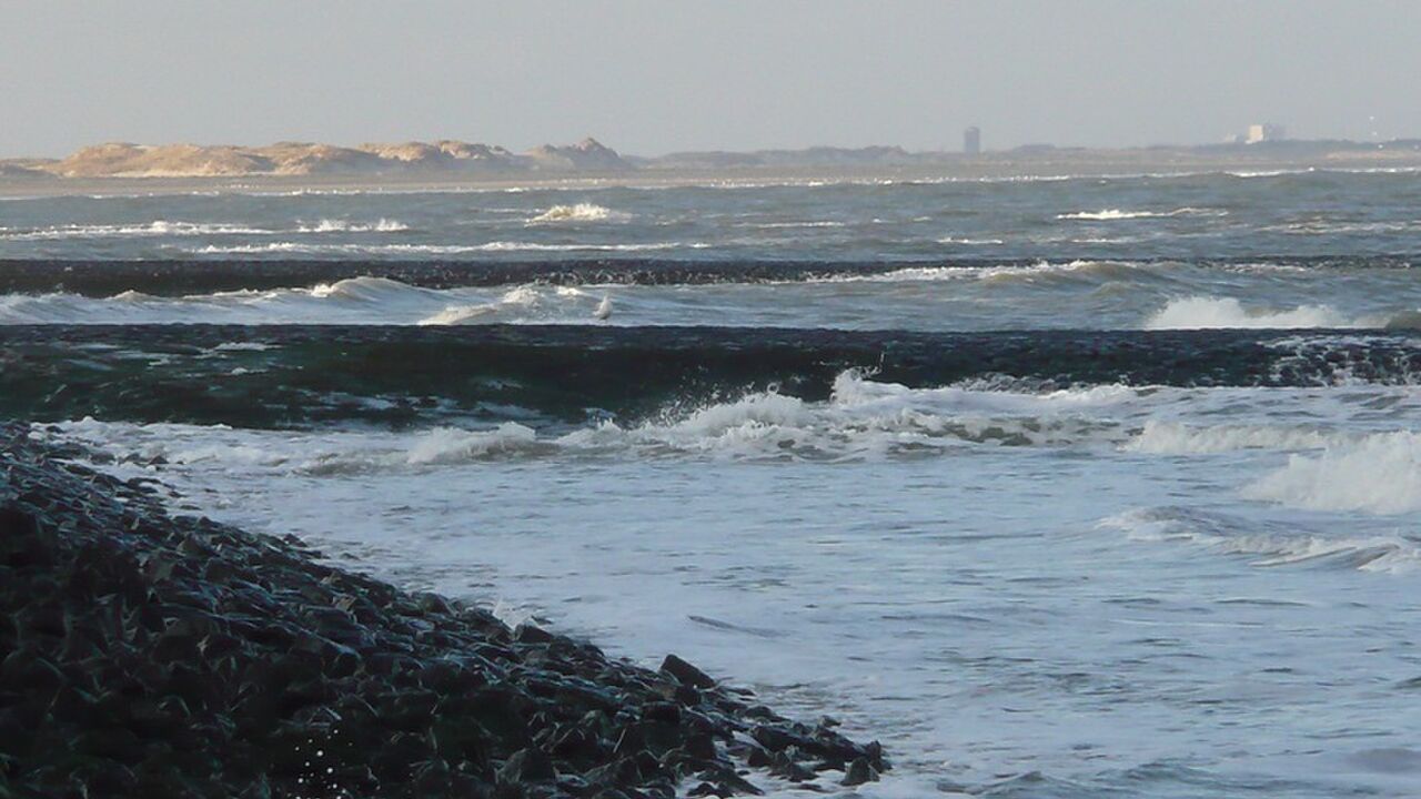 Gesund und resilient durch erfolgreiches Selbstmanagement im Berufsalltag