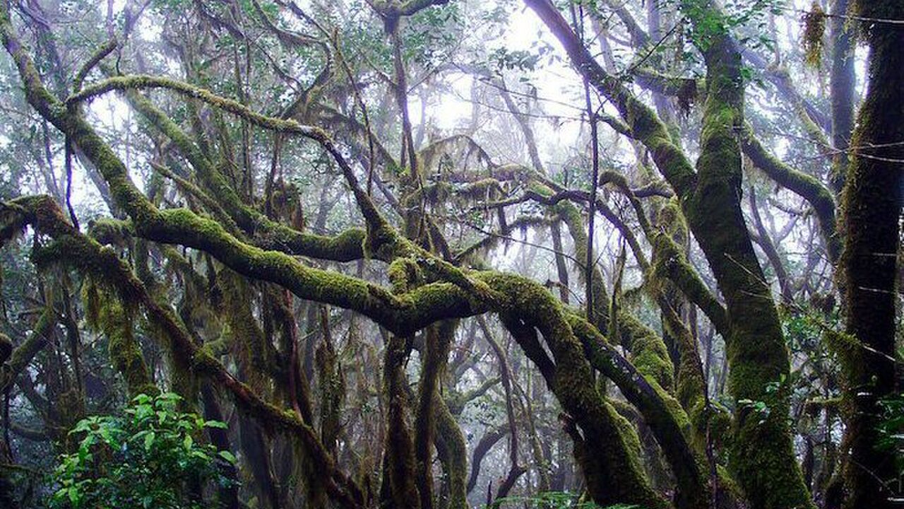 La Gomera - Perspektiven einer Insel am Rande Europas