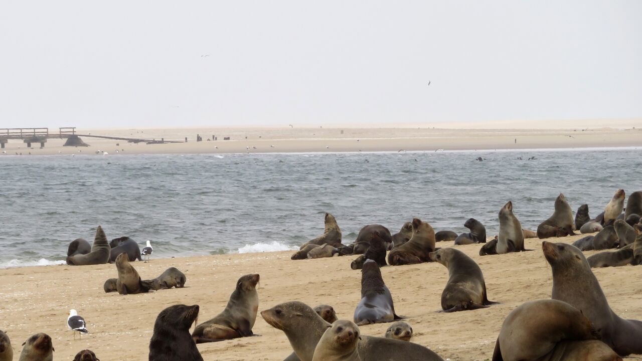 Namibia – Kolonialgeschichte, Freiheitskampf und Zukunftsperspektiven