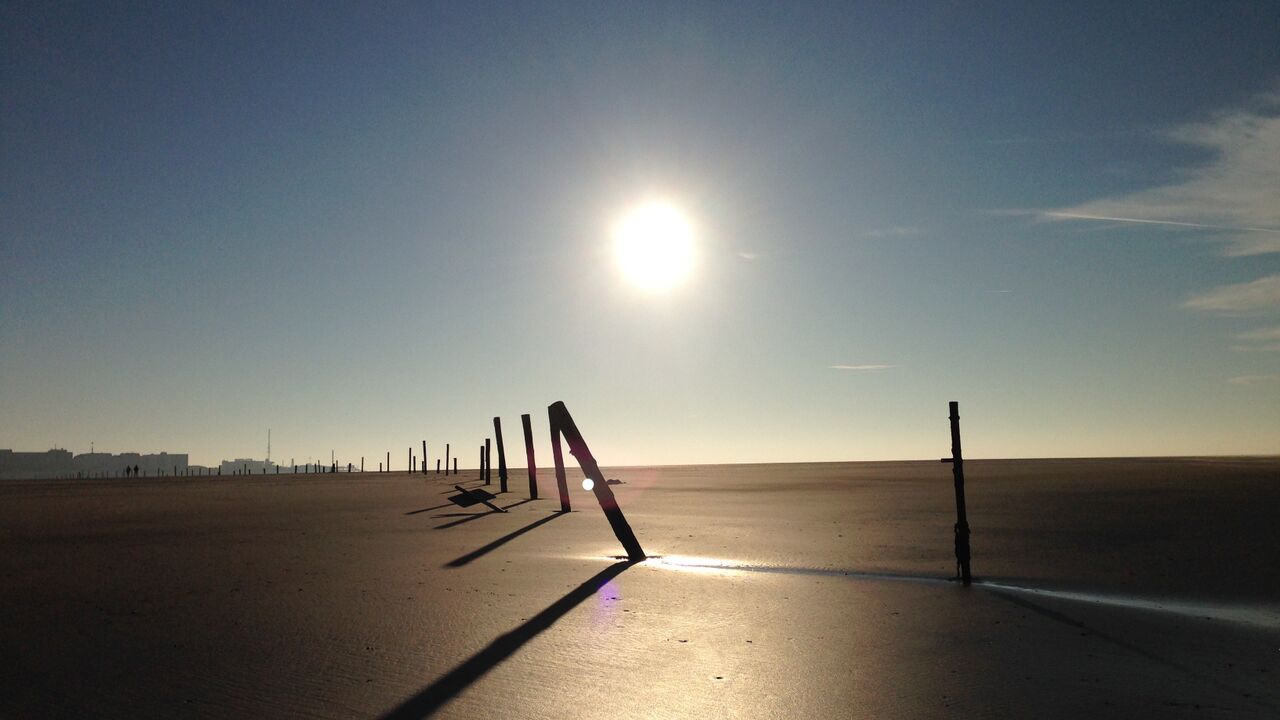 Die Franklin-Methode® im Beruf