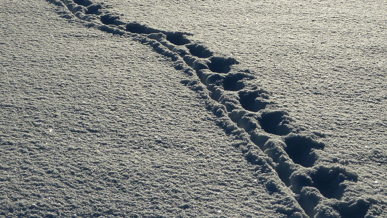 Achtsam und gelassen ins Neue Jahr - Stressreduktion und Resilienz im Berufsalltag
