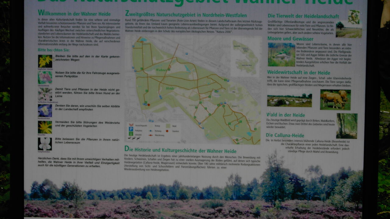 Natur- und Umweltschutz in einer Großstadt: Köln