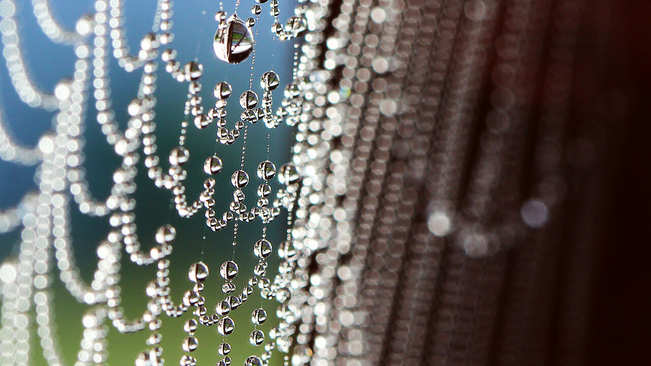 Stressbewältigung nach Jon Kabat-Zinn