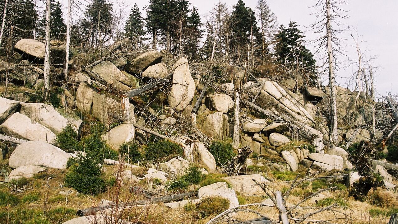 Nationalpark Harz - Schutz für die einzigartige Wald-Landschaft am Brocken